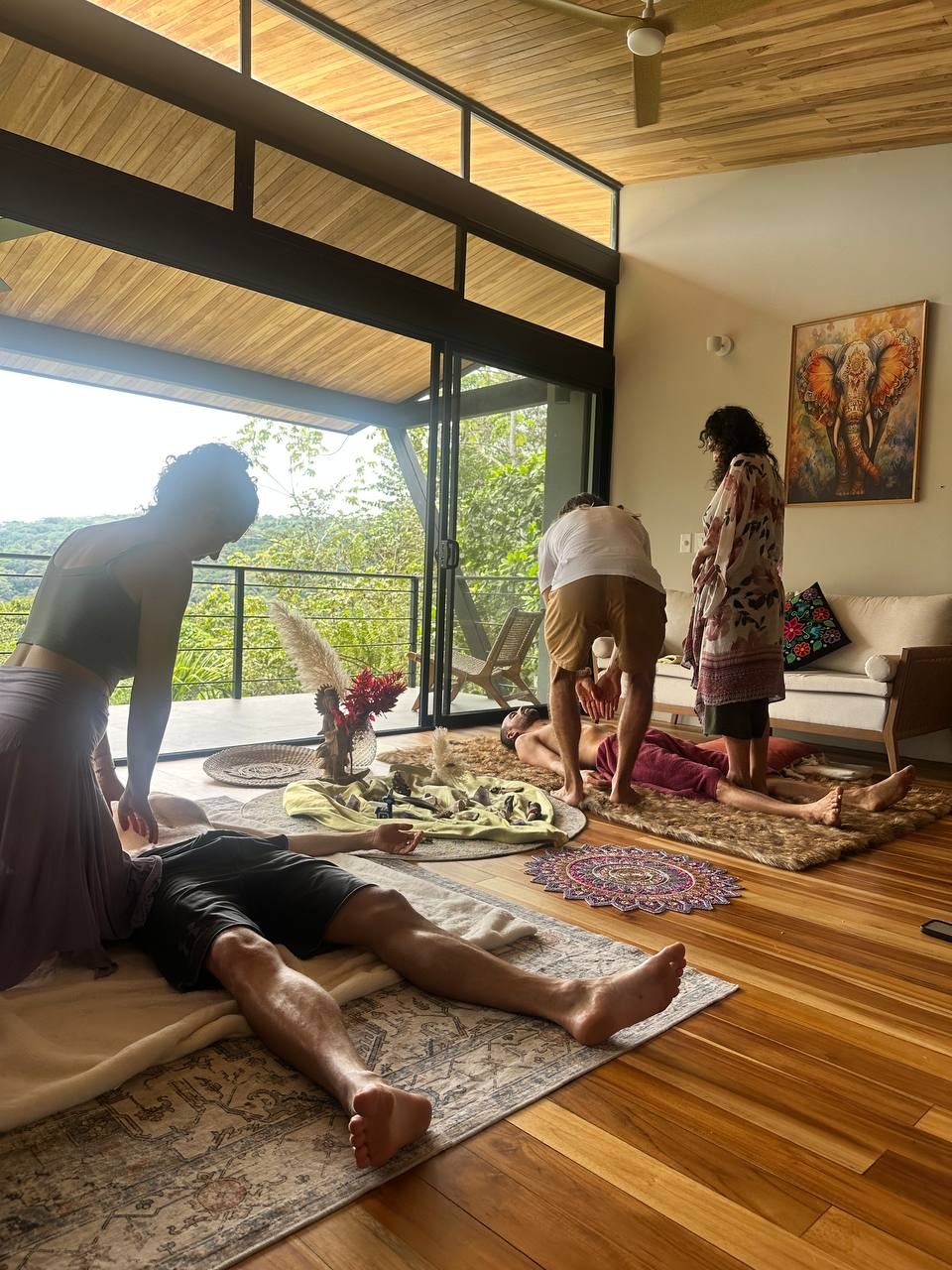 Sanctuary training in motion