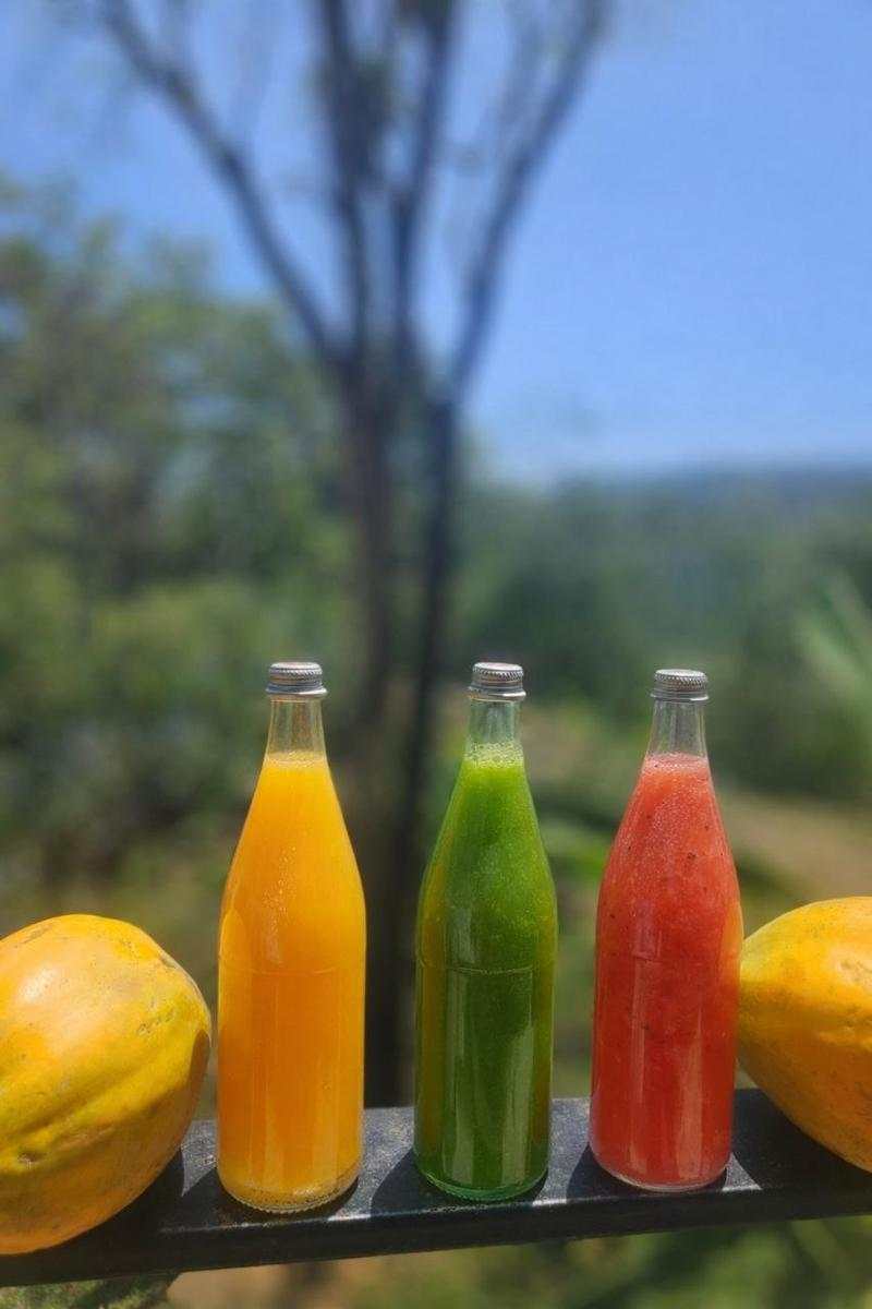 Fresh jungle juices