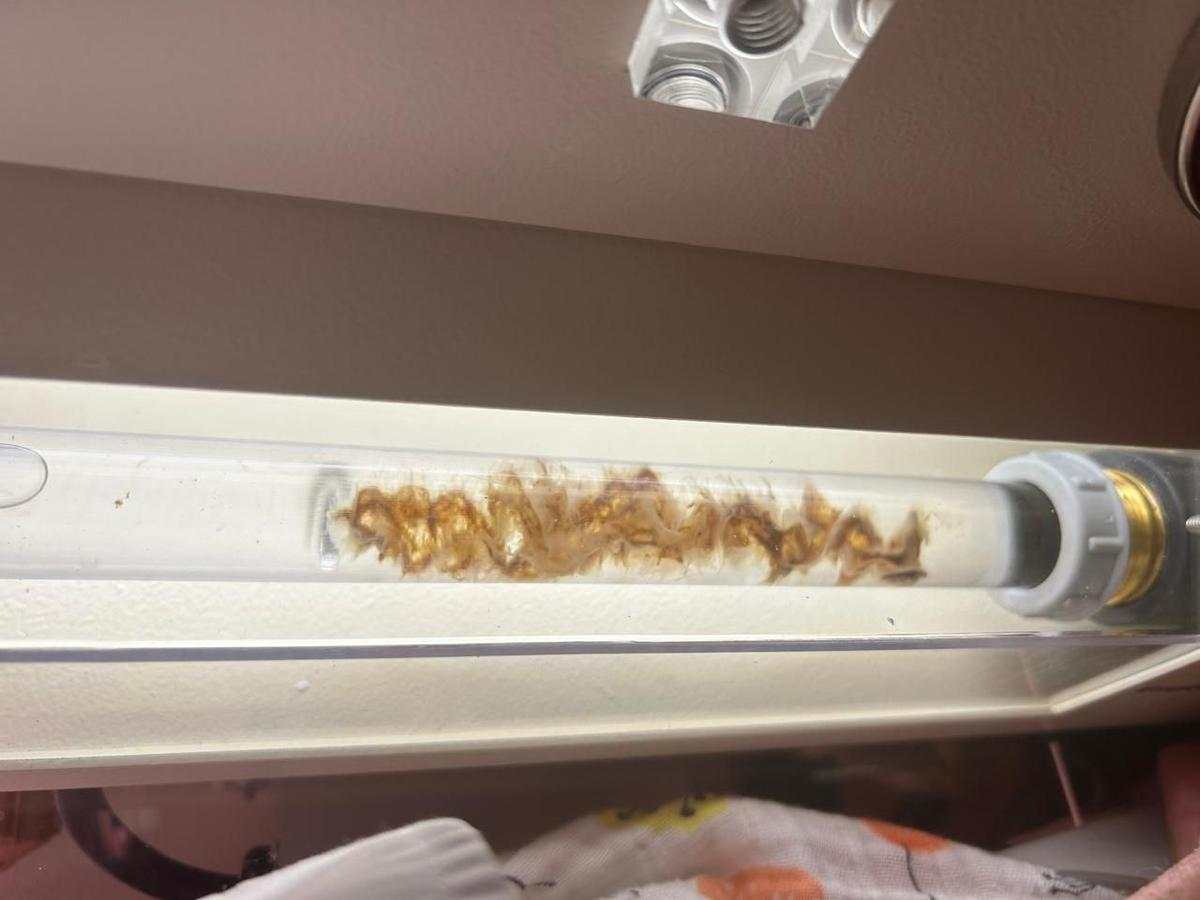 Colonic results
